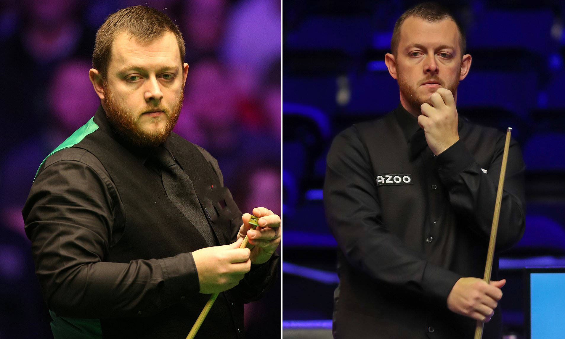 具备极高的 具备极高的