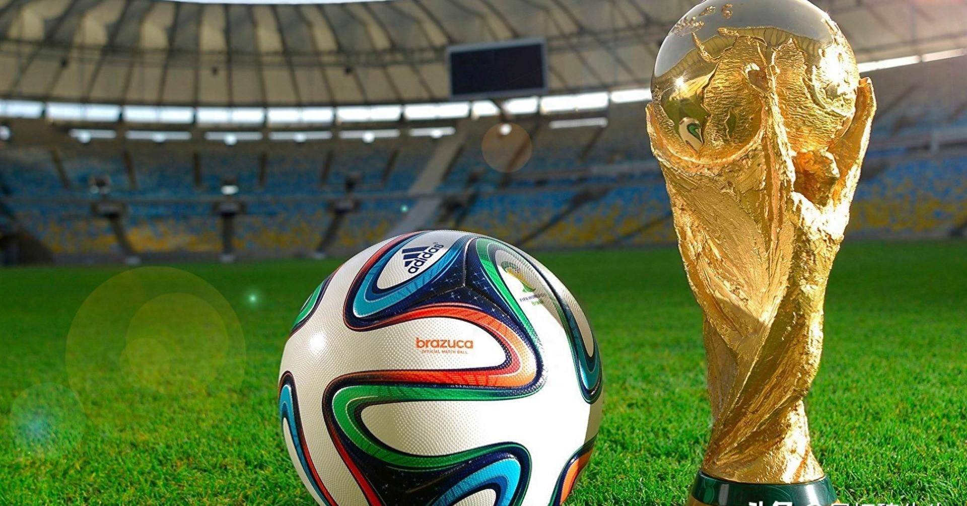 球迷看点与 球迷看点与